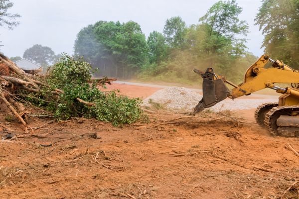 Ground Clearing in Binghamton