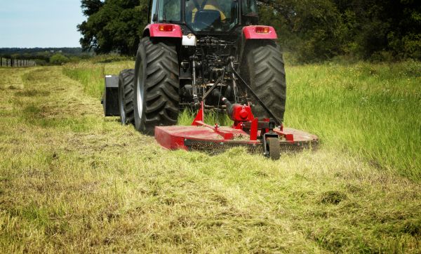 Brush Clearing Service in Binghamton