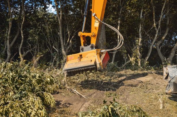 Brush Removal Service in Binghamton